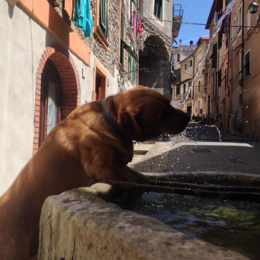 Bed and Breakfast La Torre Dolceacqua Exterior foto